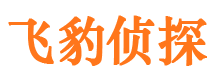 平远市侦探调查公司